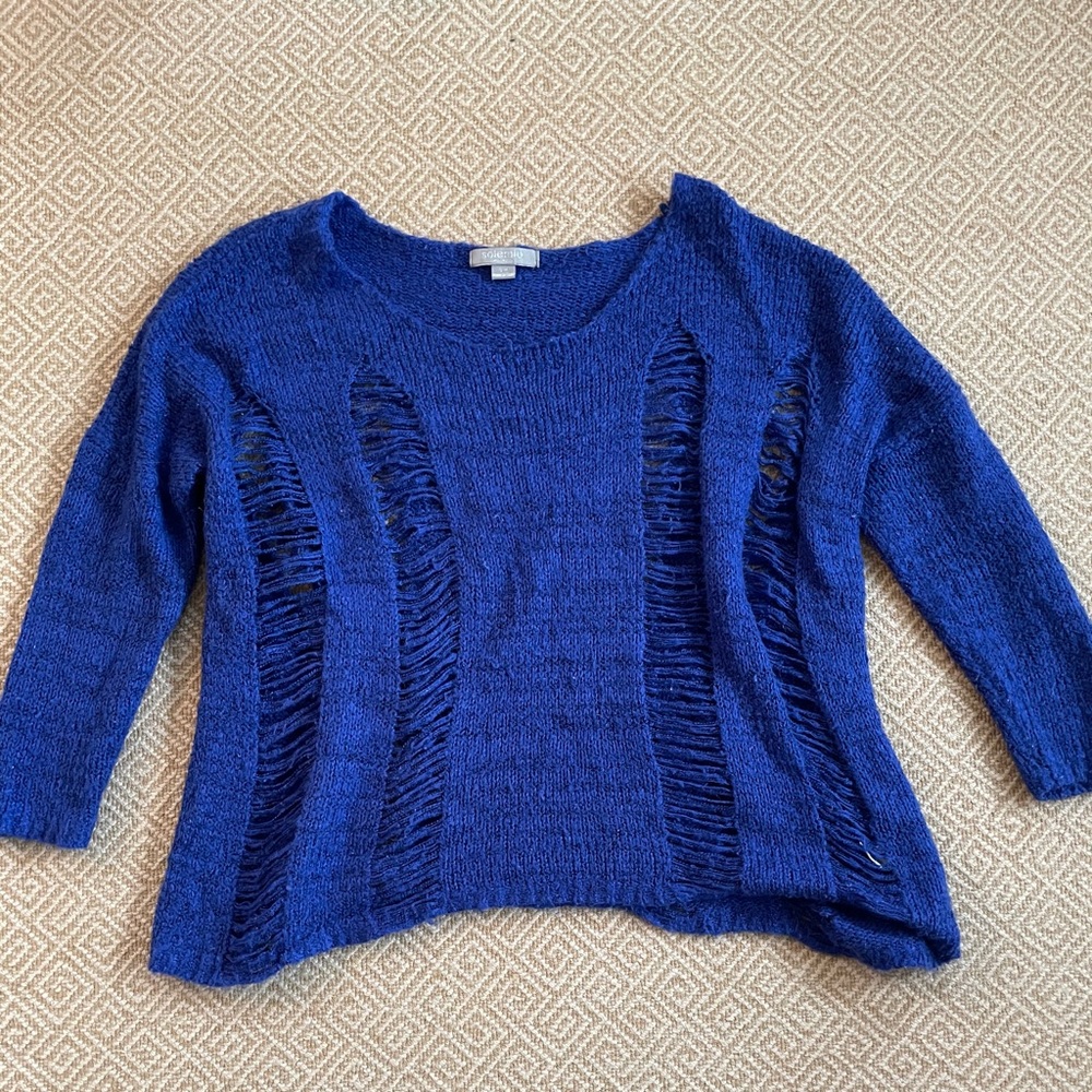 Blue Sweater